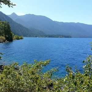 Meet your Posher, Bobbie